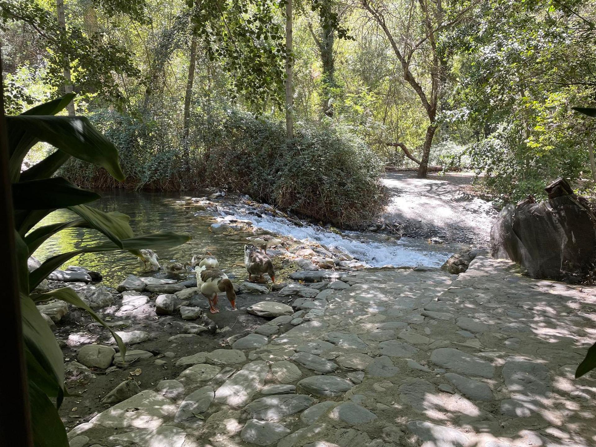 Villa Ragon Residencial, 11 Guejar Sierra Esterno foto
