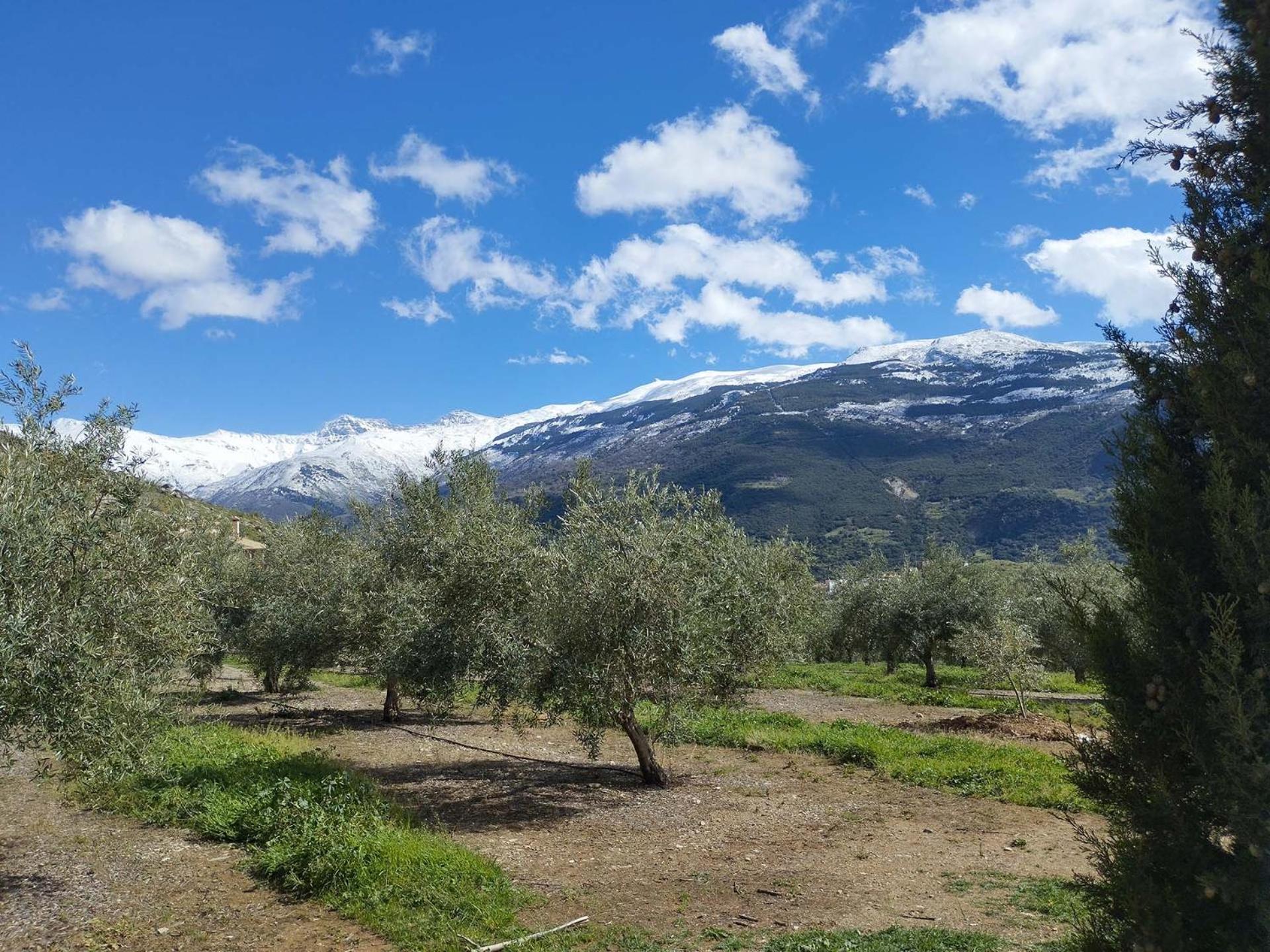 Villa Ragon Residencial, 11 Guejar Sierra Esterno foto